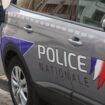 Ces habitants de Charente-Maritime craignent une invasion de rats